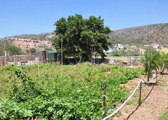 Апарт-отель Iskandil *